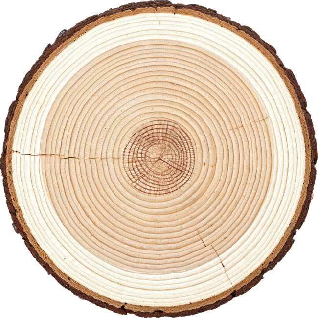  <span class="lte-header lte-span"> Wizualizacje 3D </span> 